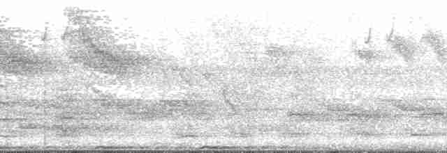 Azure-crested Flycatcher - ML139707