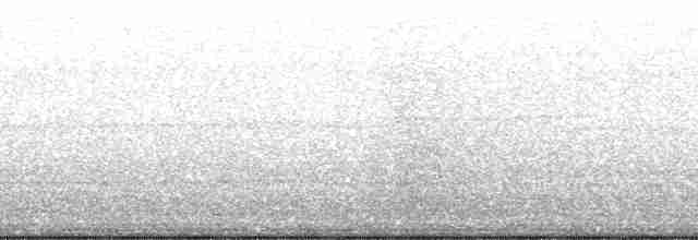 Яструб фіджійський - ML139731