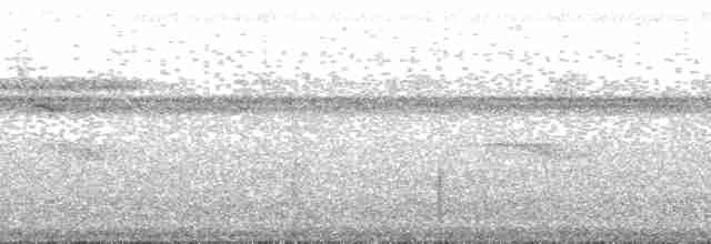 Fiji Whistler (White-throated) - ML139752