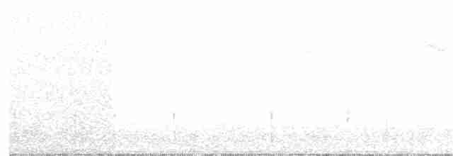 Trogon montagnard - ML139763531