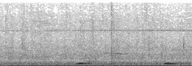 holub fidžijský - ML139796