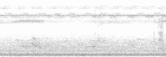 Stourne de Polynésie (groupe tabuensis) - ML139825