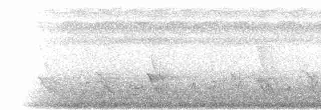 Stourne de Polynésie (groupe tabuensis) - ML139830