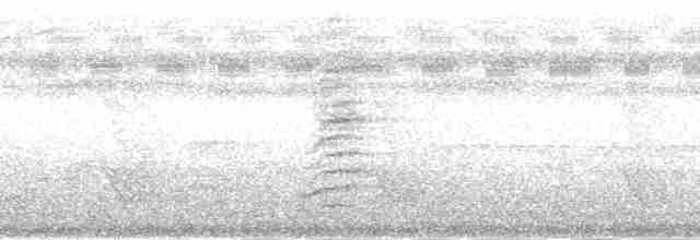 Шпак-малюк полінезійський [група tabuensis] - ML139831