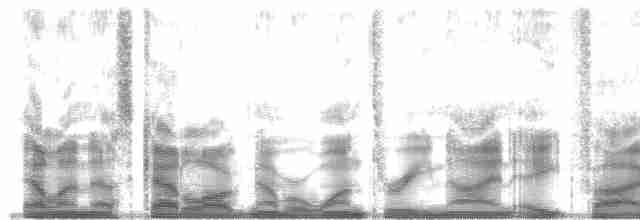 Шпак-малюк полінезійський [група tabuensis] - ML139853
