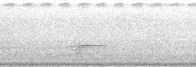 Samoan Starling - ML139859