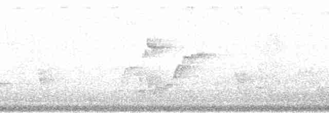 Polinezya Sığırcığı [tabuensis grubu] - ML139863