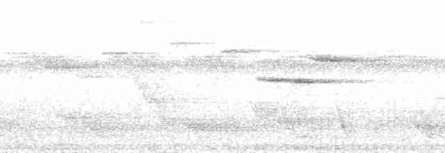 Samoan Whistler - ML139892