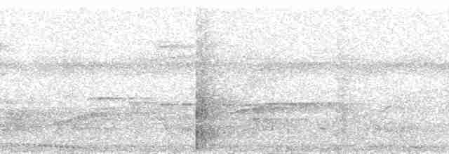 Polinezya Sığırcığı [tabuensis grubu] - ML139894