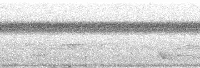 Samoan Whistler - ML139907