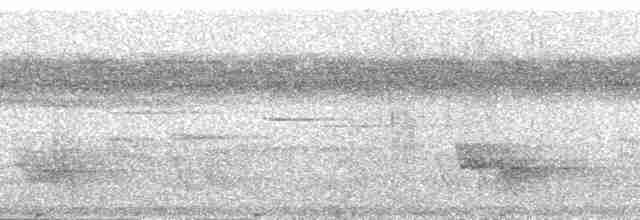 Самоанский личинкоед-свистун - ML139938