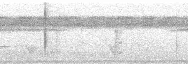 Самоанский личинкоед-свистун - ML139939
