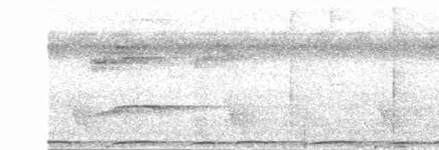 Самоанский личинкоед-свистун - ML139943