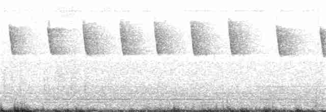 Краснохвостая нектарница - ML139946961