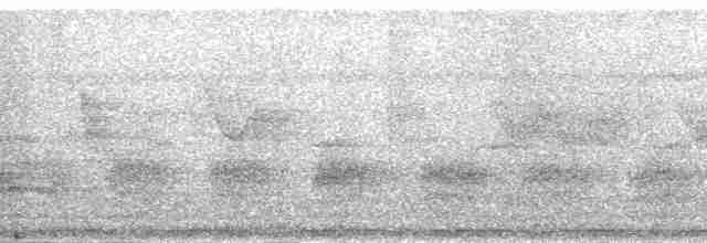 Pohnpei Kingfisher - ML139976