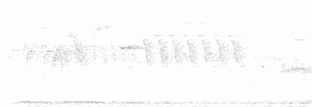 střízlík obecný (ssp. indigenus) - ML140045