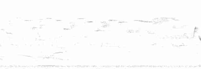 střízlík obecný (ssp. indigenus) - ML140048