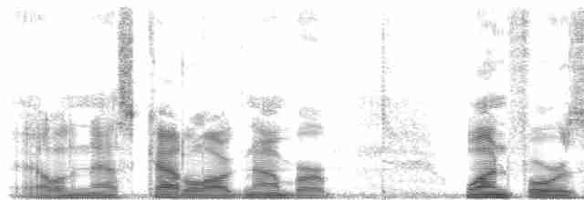  - Caroline Islands White-eye