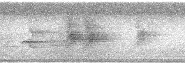 Мангровая миагра - ML140131