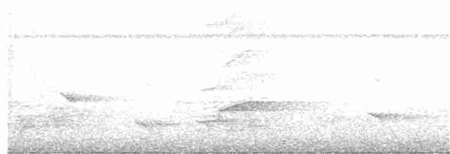 Samoan Starling - ML140139461