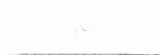 mandelík indický - ML140143691
