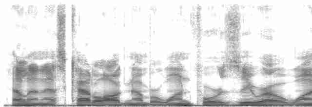  - Micronesian Starling