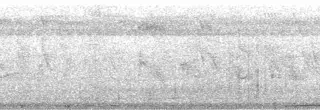 holub marianský - ML140183