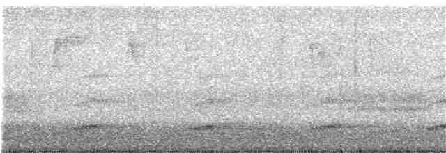 Аспиднохвостый трогон - ML140186441