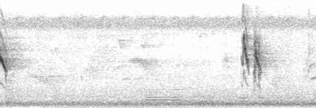 Окулярник говіркий - ML140191