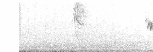 Eufonia Gorjiamarilla - ML140201521