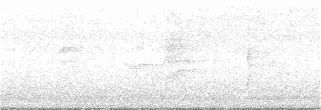 Батіжник чорночубий - ML140221221