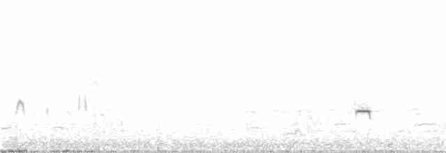 Желтоклювый чирок - ML140222731