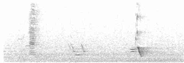 Méliphage carillonneur - ML140315901