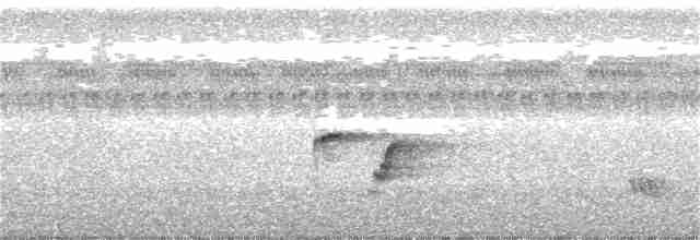 Sonnerat Yaprakkuşu - ML140330371
