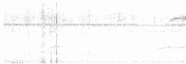Weißkehl-Ameisenvogel - ML140331321