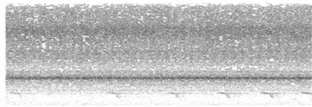 Trogón de Baird - ML140333091
