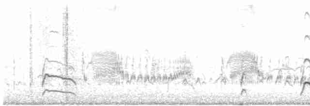 Пісочник маорійський (підвид aquilonius) - ML140390211