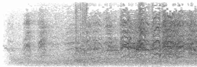 Aratinga de Wagler - ML140391121