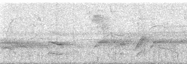 Bécarde verte (xanthogenys/peruanus) - ML140471