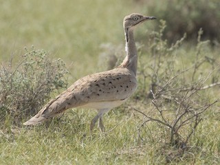 Uyda va ishda porno rasmlar