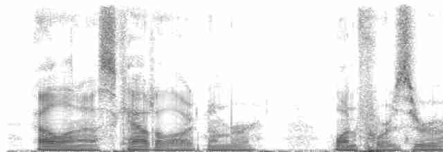 Касик багряногузий (підвид uropygialis) - ML140548