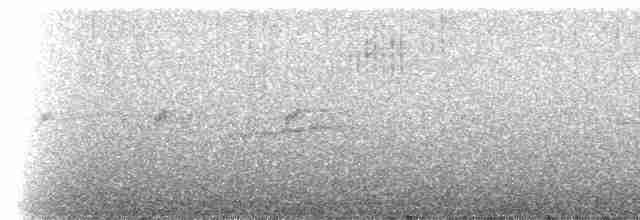 Swallow-tailed Nightjar - ML140579