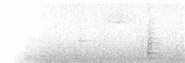 Carpintero de Gila - ML140591021