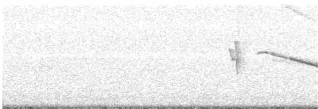 White-tailed Nightjar - ML140627001