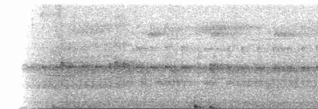 flerfargeskjeggfugl (glaucogularis) - ML140648