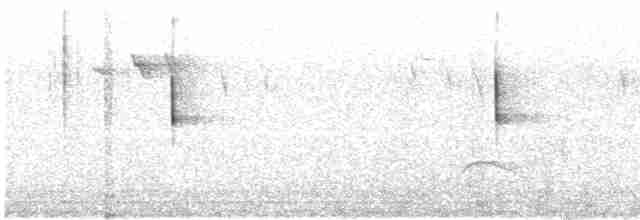 White-throated Treerunner - ML140677591