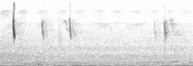 Uzun Kuyruklu Nektarkuşu (pulchellus) - ML140695051