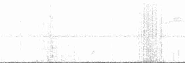 polynesiahonningeter - ML140748