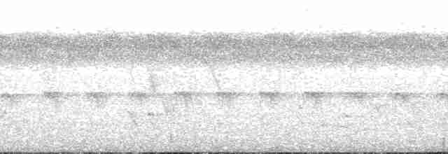 Stourne de Polynésie (groupe tabuensis) - ML140759