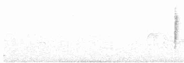 Черногорлая хвойница - ML140760961